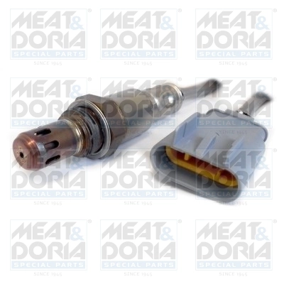 Oxygen Sensor